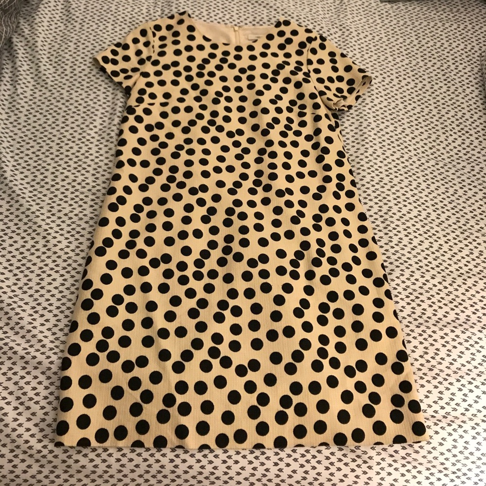 J Crew Polka Dot Sheath Dress